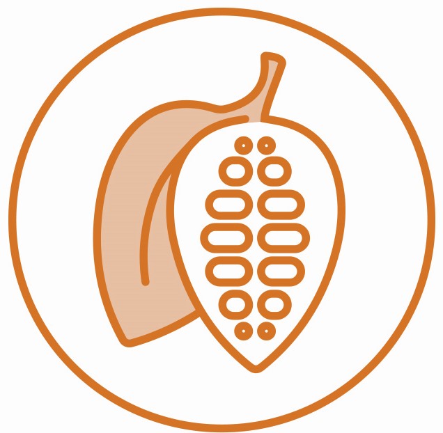 Cocoa Roasters