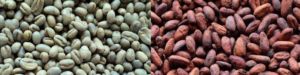 Raw Coffee and Raw Cocoa